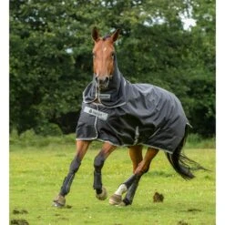 Bucas Smartex Combi Neck Halsteil 300 16 Bucas Smartex Combi Neck Halsteil 300 -Cavallo Verkäufe 300493 BL 3