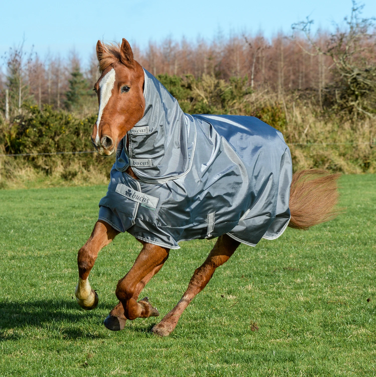 Bucas Smartex Combi Neck Halsteil 300 13 Bucas Smartex Combi Neck Halsteil 300 – Bild 11