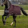 Horseware Amigo Hero Ripstop Regendecke Mit Fleecefutter, 50g 1 Horseware Amigo Hero Ripstop Regendecke Mit Fleecefutter, 50g -Cavallo Verkäufe 306260 FPU FPU 1