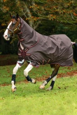 Horseware Amigo Halsteil, 0g -Cavallo Verkäufe 307509 BR RE GO 2