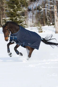 Horseware Amigo Bravo 12 Winterdecke, 400g -Cavallo Verkäufe 307515 DB DB 2