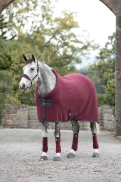 Horseware Rambo Cosy Fleece Abschwitzdecke 5 Horseware Rambo Cosy Fleece Abschwitzdecke -Cavallo Verkäufe 307571 BU BU TLB 1
