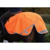 Weatherbeeta 300D Reflective Trainingsdecke -Cavallo Verkäufe 314950 OR 1