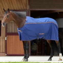 Bucas Therapy Cooler Abschwitzdecke 15 Bucas Therapy Cooler Abschwitzdecke -Cavallo Verkäufe 316877 DB OR 1