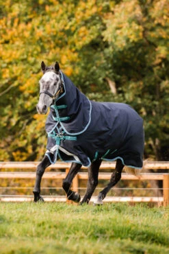 Horseware Amigo Bravo 12 Plus Winterdecke Mit Abnehmbarem Halsteil, 250g -Cavallo Verkäufe 320370 DB AB 2