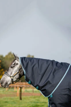 Horseware Amigo Bravo 12 Plus Winterdecke Mit Abnehmbarem Halsteil, 250g -Cavallo Verkäufe 320370 DB AB 4