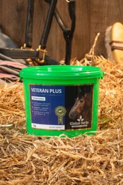 Global Herbs Veteran Plus 1kg -Cavallo Verkäufe 321488 3