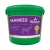 Global Herbs Seaweed 1,5kg -Cavallo Verkäufe 321504 2
