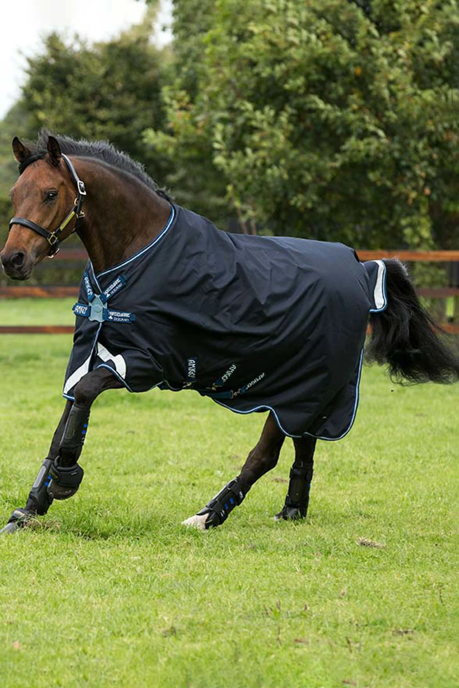 Horseware Amigo Bravo Disc Regendecke, 0g 4 Horseware Amigo Bravo Disc Regendecke, 0g – Bild 2