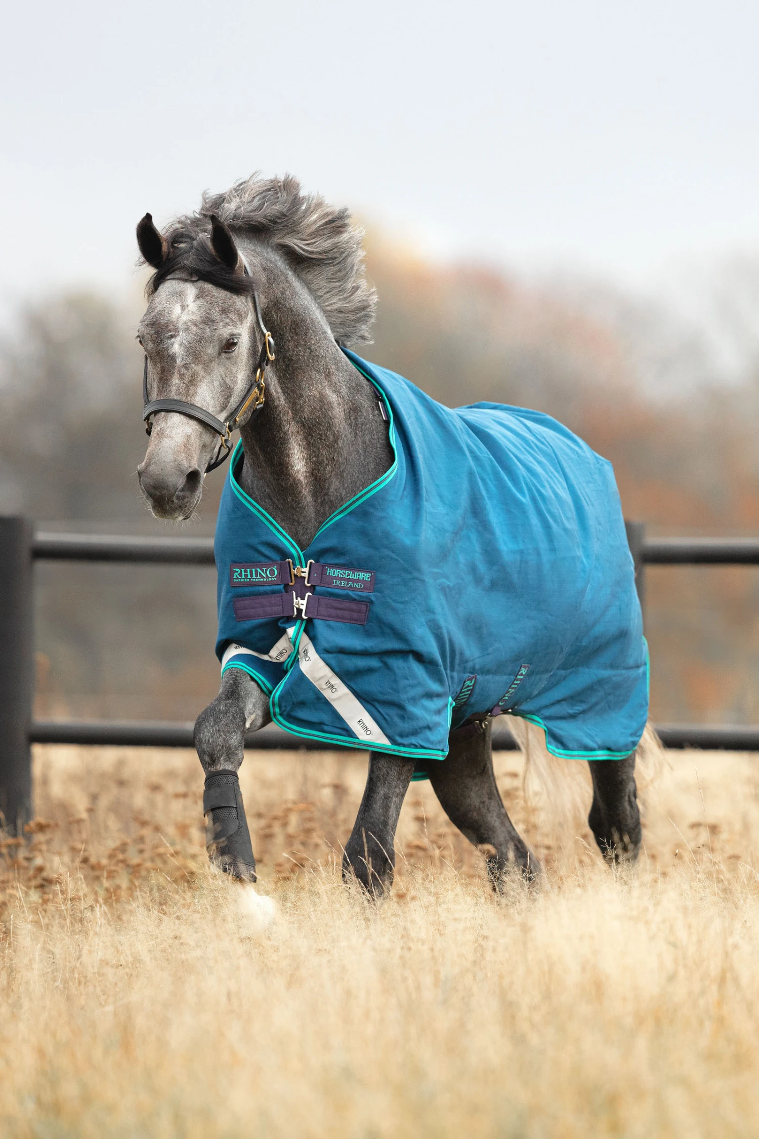 Horseware Rhino Original Regendecke, 0g 4 Horseware Rhino Original Regendecke, 0g – Bild 2