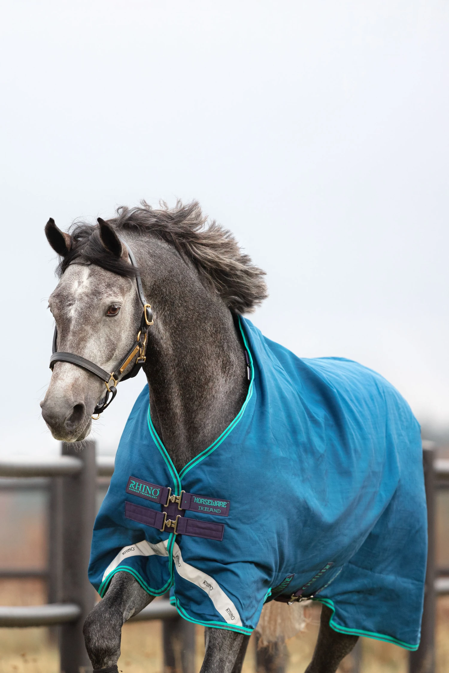 Horseware Rhino Original Regendecke, 0g 5 Horseware Rhino Original Regendecke, 0g – Bild 3