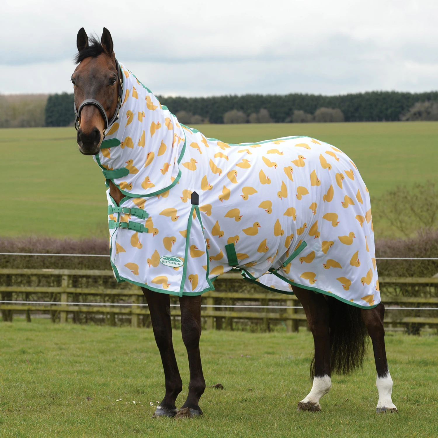 Weatherbeeta Comfitec Essential Mesh II Fliegendecke Mit Festem Halsteil 4 Weatherbeeta Comfitec Essential Mesh II Fliegendecke Mit Festem Halsteil – Bild 2