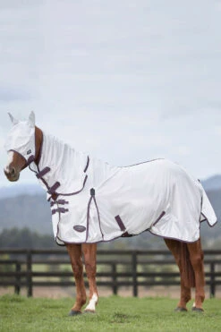 Weatherbeeta Comfitec Essential Mesh II Fliegendecke Mit Festem Halsteil 24 Weatherbeeta Comfitec Essential Mesh II Fliegendecke Mit Festem Halsteil -Cavallo Verkäufe 329554 WH DRE 1