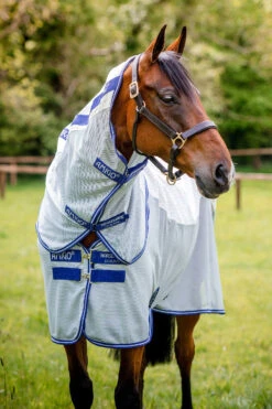 Horseware Amigo Airflow Fliegendecke Mit Abnehmbarem Halsteil 13 Horseware Amigo Airflow Fliegendecke Mit Abnehmbarem Halsteil -Cavallo Verkäufe 331252 DB AB 3