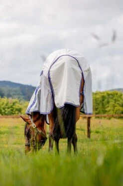 Horseware Amigo Airflow Fliegendecke Mit Abnehmbarem Halsteil 15 Horseware Amigo Airflow Fliegendecke Mit Abnehmbarem Halsteil -Cavallo Verkäufe 331252 DB AB 5