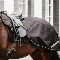 Back On Track Sammy Ausreitdecke, 50g 13 Back On Track Sammy Ausreitdecke, 50g -Cavallo Verkäufe 331628 BL 4