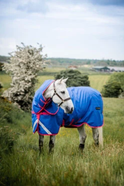 Horseware Amigo Bravo 12 Reflective Plus Winterdecke Mit Abnehmbarem Halsteil, 250g 13 Horseware Amigo Bravo 12 Reflective Plus Winterdecke Mit Abnehmbarem Halsteil, 250g -Cavallo Verkäufe 332730 B PI 5