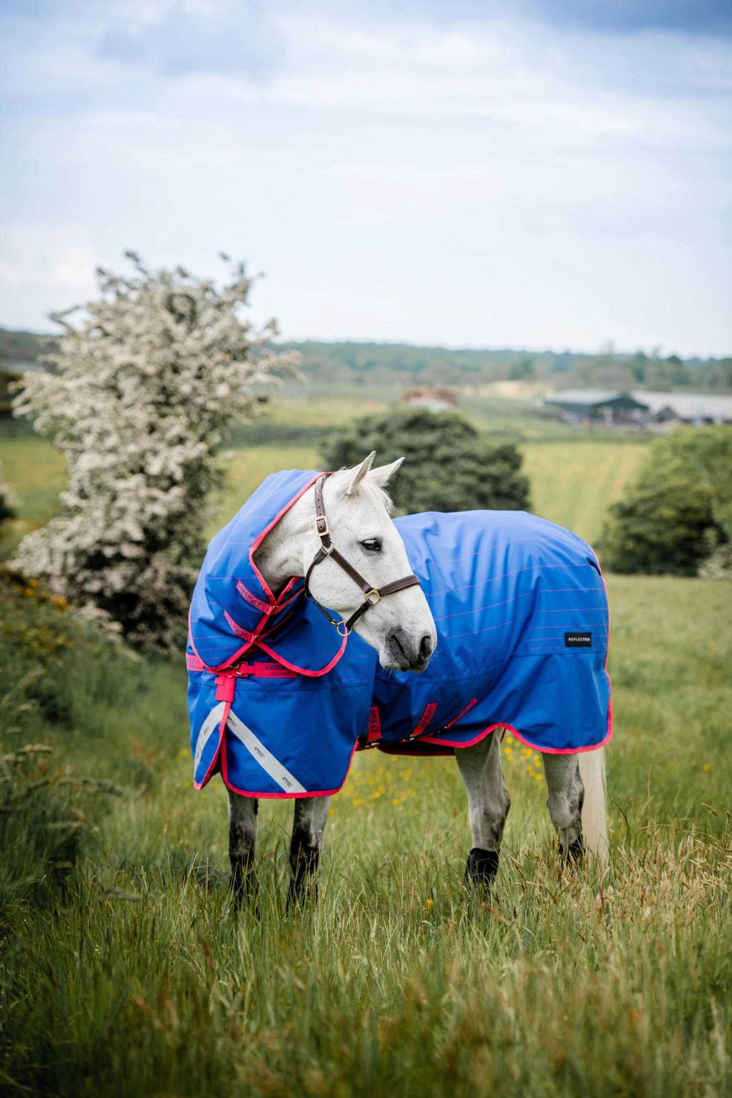 Horseware Amigo Bravo 12 Reflective Plus Winterdecke Mit Abnehmbarem Halsteil, 250g 8 Horseware Amigo Bravo 12 Reflective Plus Winterdecke Mit Abnehmbarem Halsteil, 250g – Bild 6