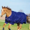 Horseware Amigo Hero 900 T/O Med Winterdecke, 200g -Cavallo Verkäufe 332736 AB IWH 1