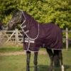 Horseware Amigo Hero Ripstop Plus Medium Winterdecke Mit Abnehmbarem Halsteil, 200g -Cavallo Verkäufe 332742 FPU SI 1