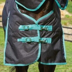 Weatherbeeta Green-Tec Regendecke Mit Abnehmbarem Halsteil, 50g 8 Weatherbeeta Green-Tec Regendecke Mit Abnehmbarem Halsteil, 50g -Cavallo Verkäufe 333104 BL BDGR 3