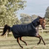 Kentucky Horsewear All Weather Waterproof Classic, Regendecke, 150g