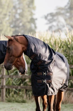 Kentucky Horsewear All Weather Waterproof Classic, Regendecke, 150g -Cavallo Verkäufe 333287 DB 6