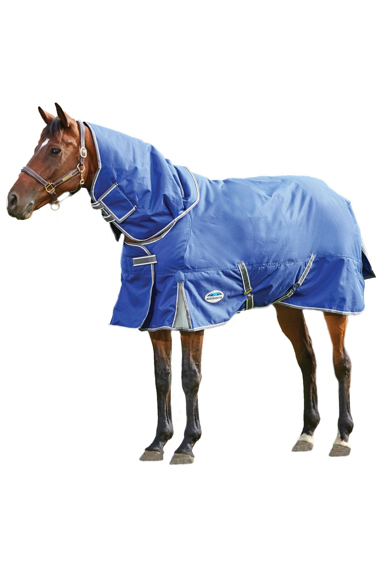 Weatherbeeta Comfitec Premier Free II Weidedecke Mit Abnehmbarem Halsteil, 100g 3 Weatherbeeta Comfitec Premier Free II Weidedecke Mit Abnehmbarem Halsteil, 100g