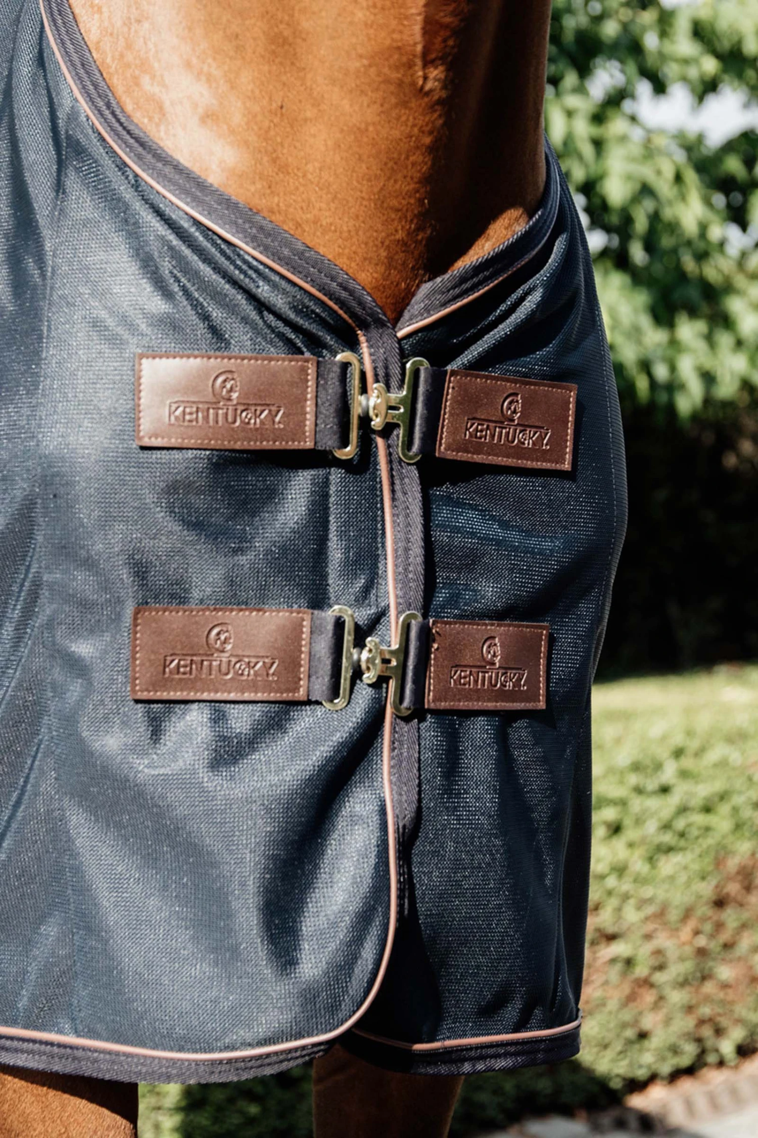 Kentucky Horsewear Mesh Fliegendecke 5 Kentucky Horsewear Mesh Fliegendecke – Bild 3