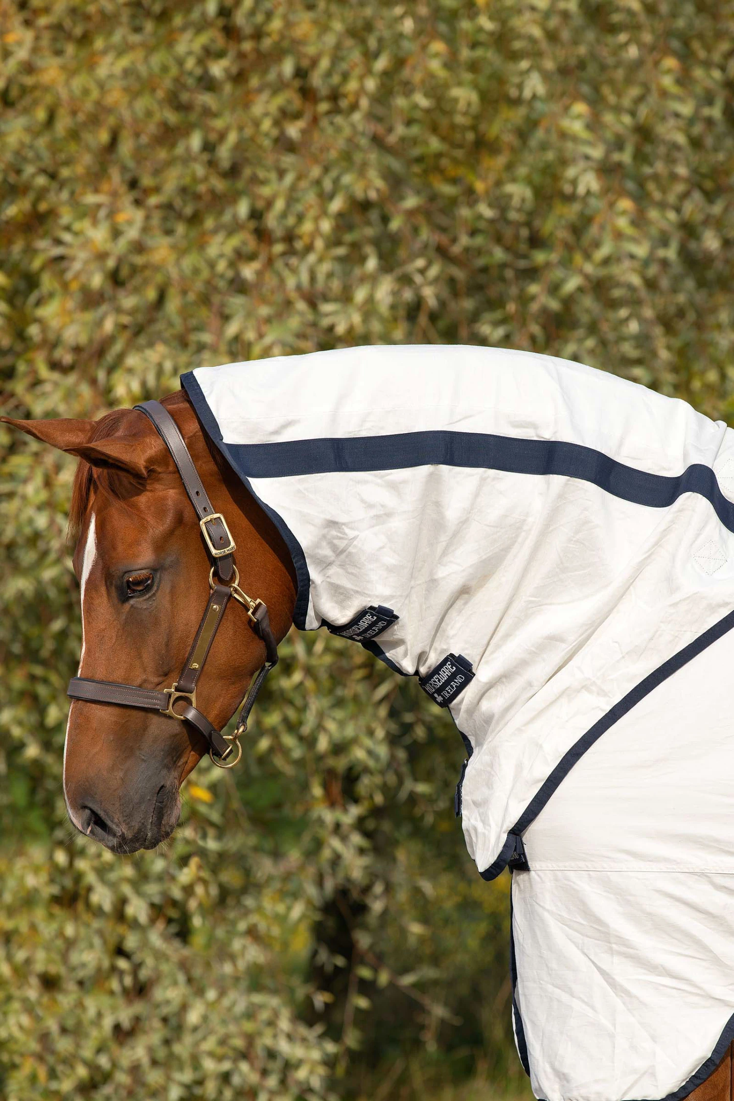 Horseware Rambo Natura Fliegendecke 7 Horseware Rambo Natura Fliegendecke – Bild 5