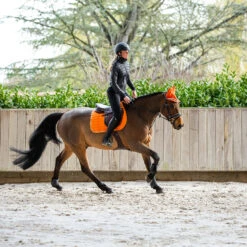 Horze Annika Damen Hybrid Anorak 27 Horze Annika Damen Hybrid Anorak -Cavallo Verkäufe 33500 BL 6