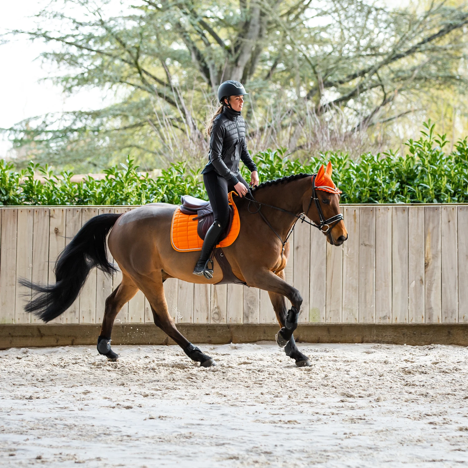 Horze Annika Damen Hybrid Anorak 8 Horze Annika Damen Hybrid Anorak – Bild 6