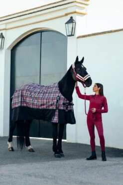 Horze Mia Damen Trainingsshirt Mit Langen Ärmeln Und Mesh-Einsätzen 27 Horze Mia Damen Trainingsshirt Mit Langen Ärmeln Und Mesh-Einsätzen -Cavallo Verkäufe 33578 ADPI 9