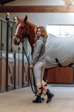 Horze Sabine Damen Hybrid Hoodie 24 Horze Sabine Damen Hybrid Hoodie -Cavallo Verkäufe 33587 ag 07