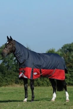 Weatherbeeta Comfitec Plus Dynamic II Weidedecke Mit Integriertem Halsteil, 100g 9 Weatherbeeta Comfitec Plus Dynamic II Weidedecke Mit Integriertem Halsteil, 100g -Cavallo Verkäufe 335953 BL RE SI 1