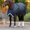 Horseware Amigo Bravo 12 XL Weidedecke, 0g 2 Horseware Amigo Bravo 12 XL Weidedecke, 0g -Cavallo Verkäufe 335983 DB DB RE 2