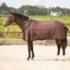 Harry's Horse Highliner Stalldecke, 200g -Cavallo Verkäufe 336761 BRBR 1