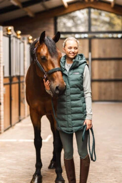 B Vertigo Celeste Wasserdichte Weste 19 B Vertigo Celeste Wasserdichte Weste -Cavallo Verkäufe 33693 681 08