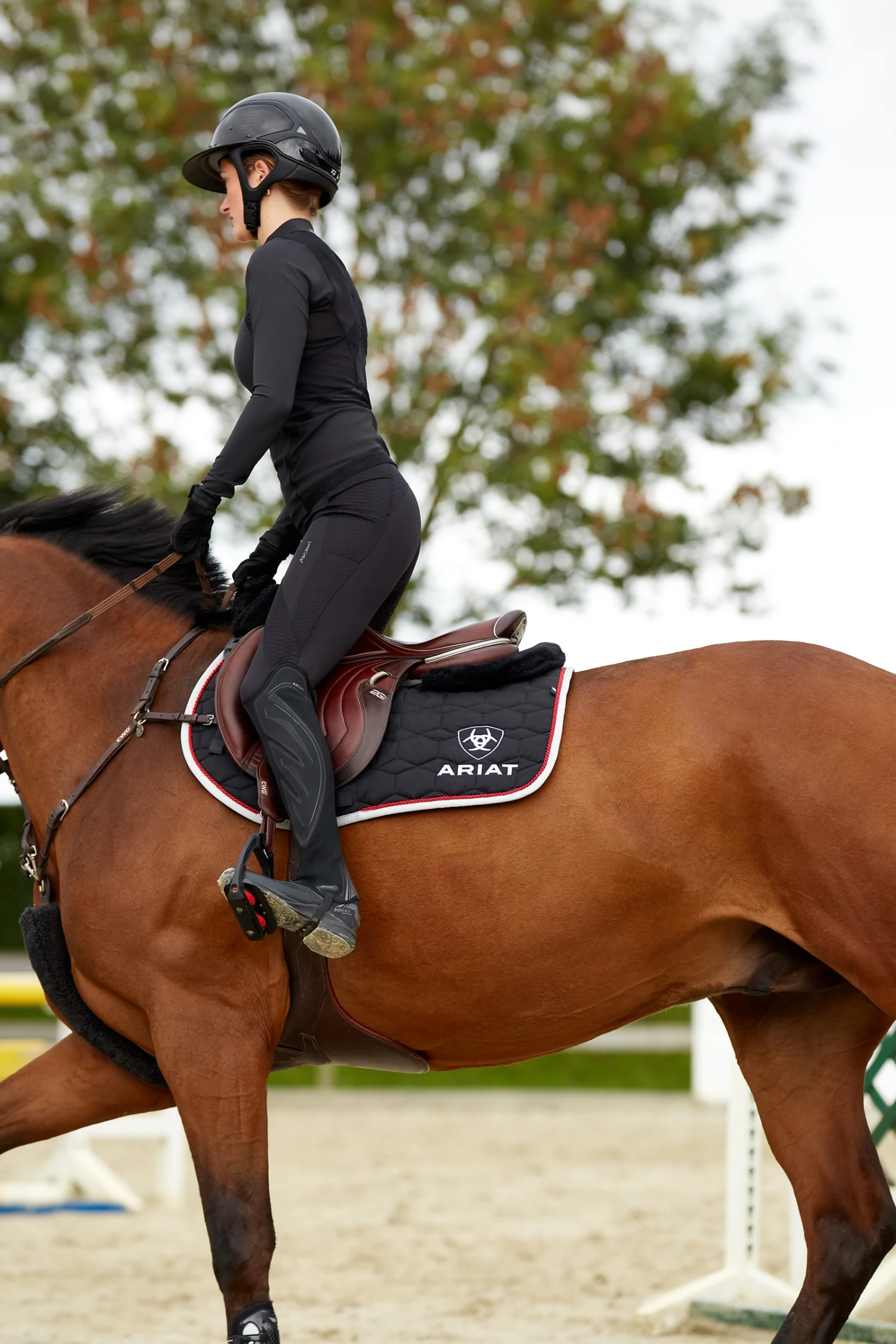 Ariat Ascent Damen Reitleggings Mit Kniegrip 9 Ariat Ascent Damen Reitleggings Mit Kniegrip – Bild 7