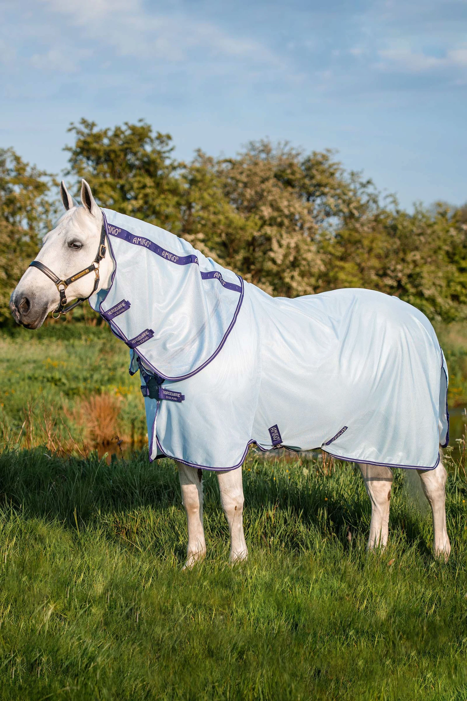 Horseware Amigo XL Bug Rug Fliegendecke 3 Horseware Amigo XL Bug Rug Fliegendecke