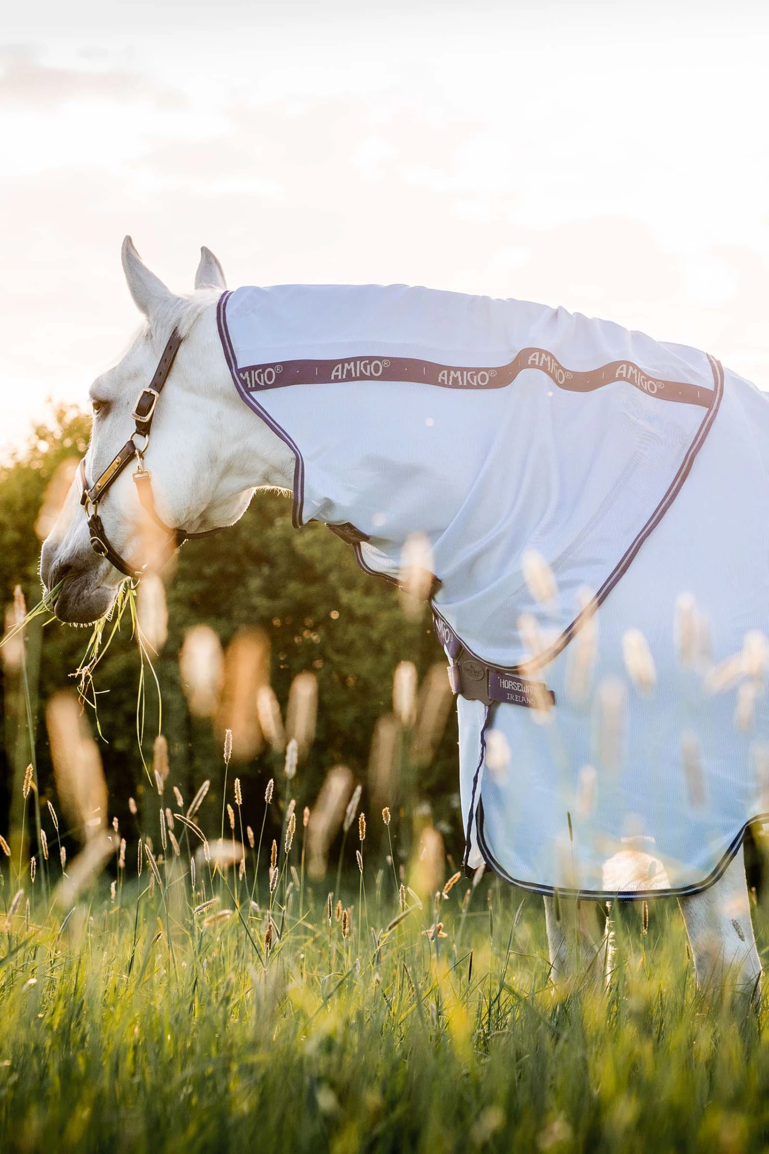 Horseware Amigo XL Bug Rug Fliegendecke 4 Horseware Amigo XL Bug Rug Fliegendecke – Bild 2