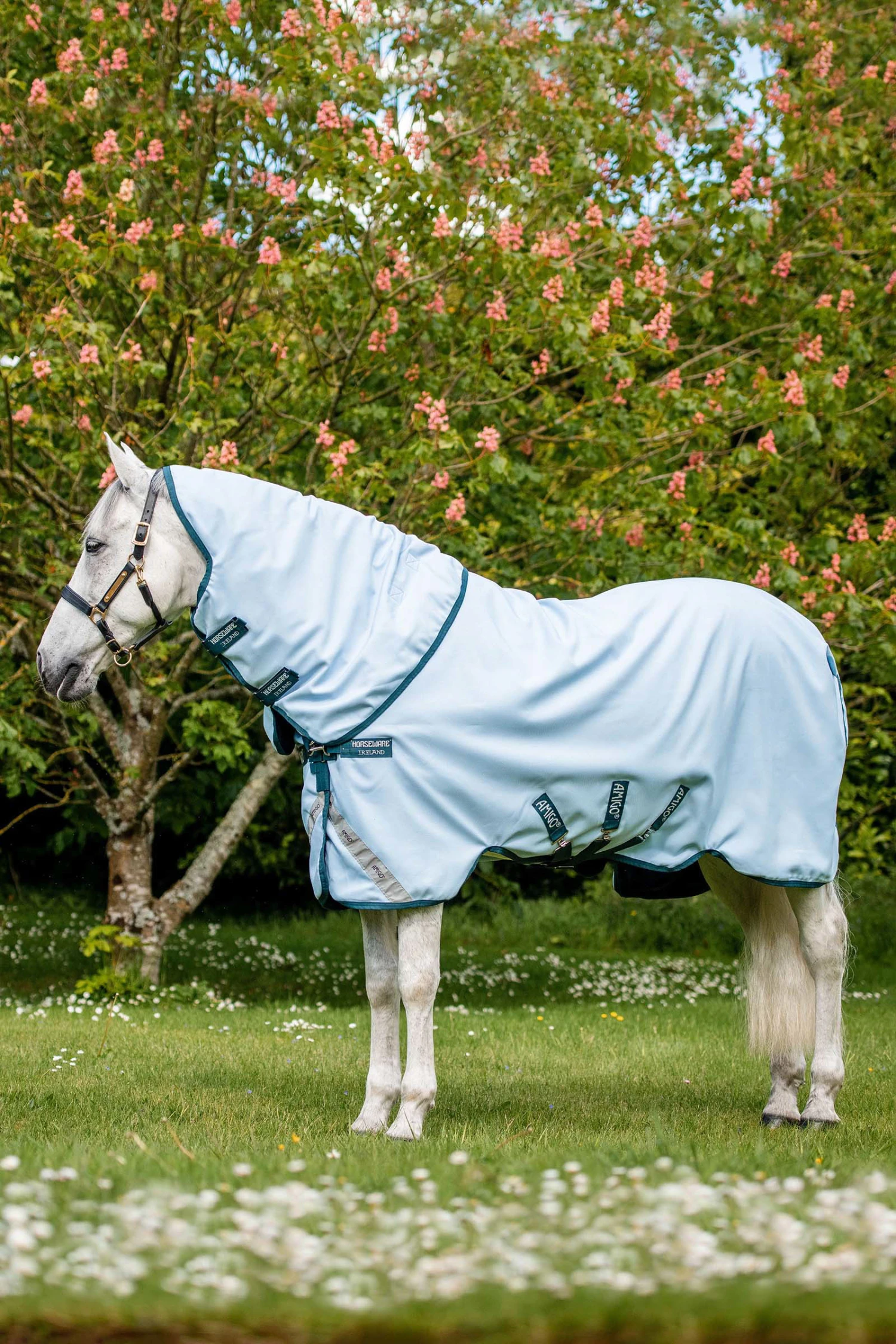 Horseware Amigo Plant Dye Weidedecke, 50g 3 Horseware Amigo Plant Dye Weidedecke, 50g