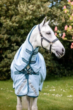 Horseware Amigo Plant Dye Weidedecke, 50g 10 Horseware Amigo Plant Dye Weidedecke, 50g -Cavallo Verkäufe 340224 B DB 3