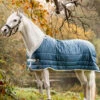 Horseware AmEco Liner, 100g -Cavallo Verkäufe 340947 TE G 1