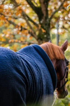 Horseware Embossed Cosy Neck Abschwitzdecke -Cavallo Verkäufe 340951 DB BU 7