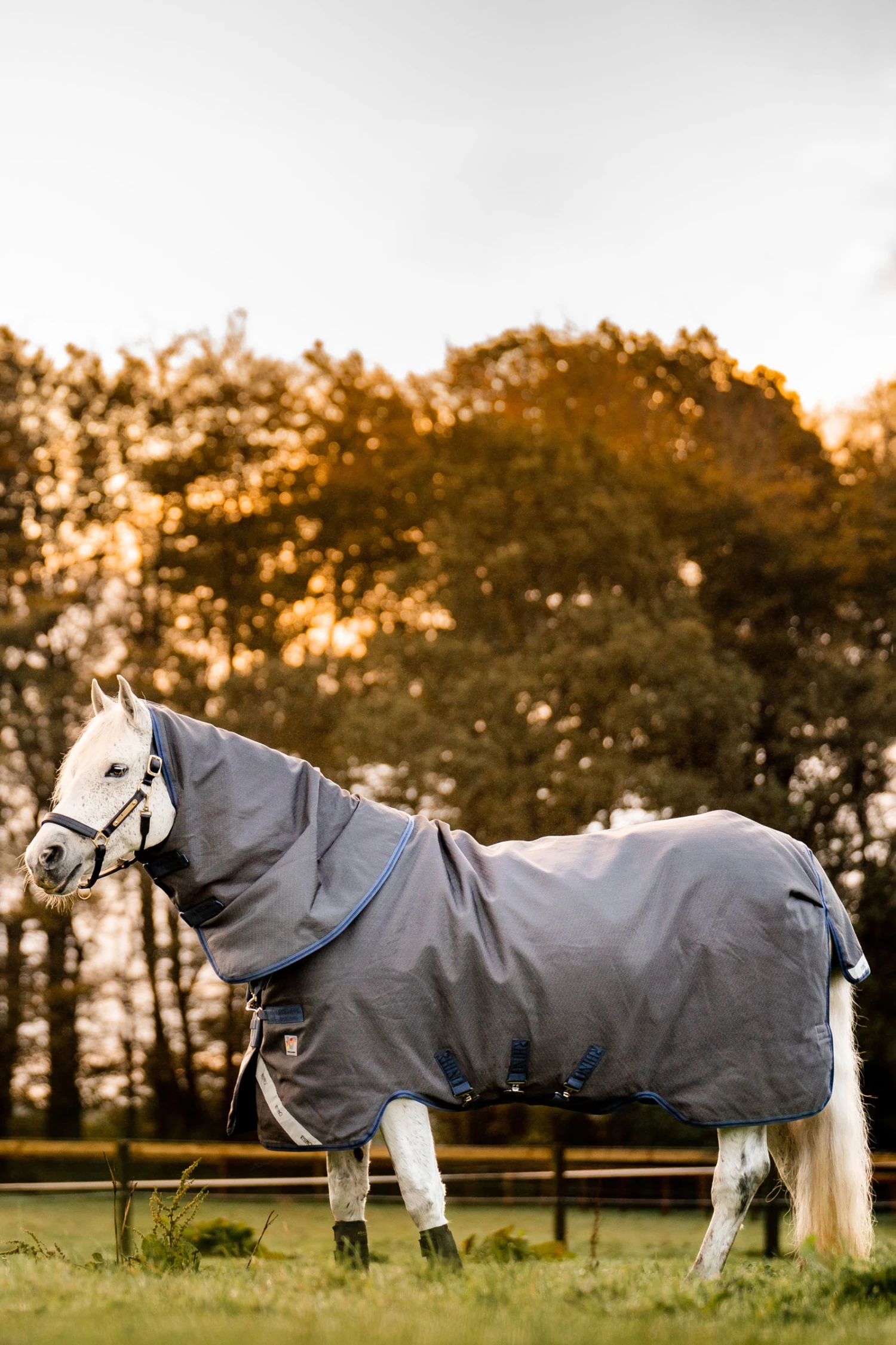 Horseware Rhino Hexstop Vari-Layer Weidedecke, 250g 3 Horseware Rhino Hexstop Vari-Layer Weidedecke, 250g