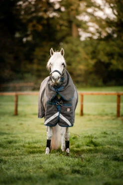 Horseware Rhino Hexstop Vari-Layer Weidedecke, 250g 12 Horseware Rhino Hexstop Vari-Layer Weidedecke, 250g -Cavallo Verkäufe 340958 G IDB 3