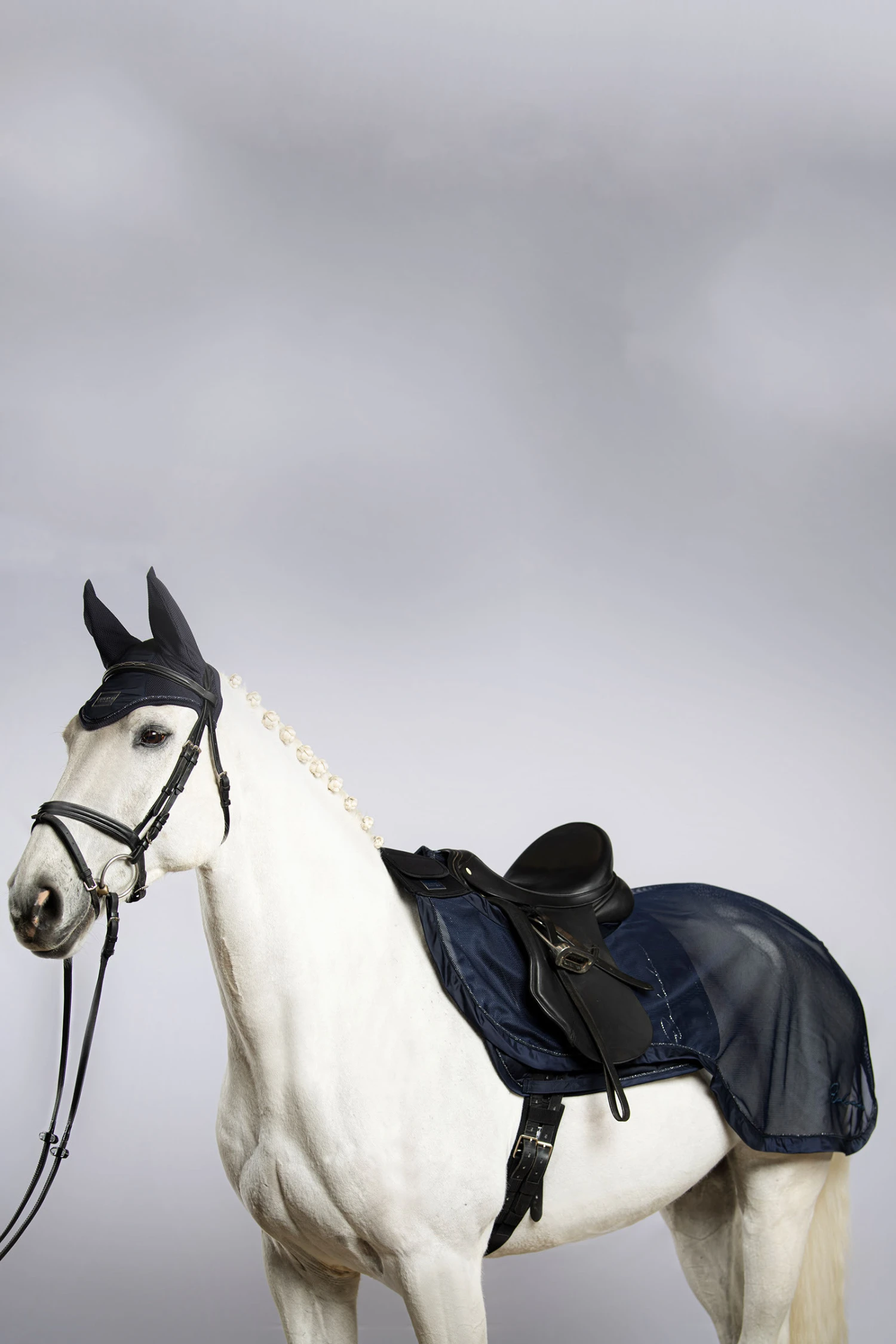 Eskadron Classic Sports FS22 Fly Exercise Ausreitdecke 4 Eskadron Classic Sports FS22 Fly Exercise Ausreitdecke – Bild 2