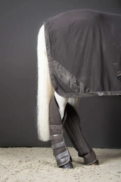 Eskadron Classic Sports FS22 Aerial Jersey Abschwitzdecke -Cavallo Verkäufe 341070 FSBR 3