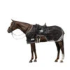 Waldhausen Reflex Ausreitdecke 1 Waldhausen Reflex Ausreitdecke -Cavallo Verkäufe 344024 BL SI 1